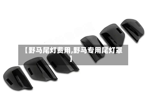 【野马尾灯费用,野马专用尾灯罩】