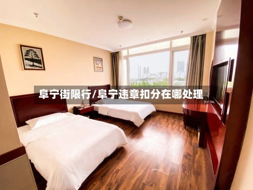 阜宁街限行/阜宁违章扣分在哪处理-第3张图片