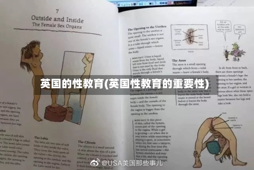 英国的性教育(英国性教育的重要性)