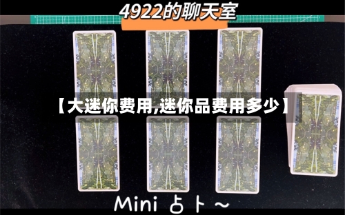 【大迷你费用,迷你品费用多少】