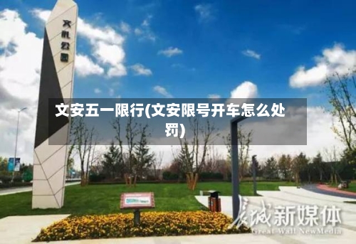 文安五一限行(文安限号开车怎么处罚)-第3张图片