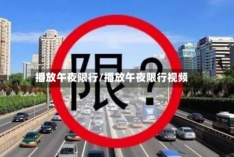 播放午夜限行/播放午夜限行视频-第3张图片
