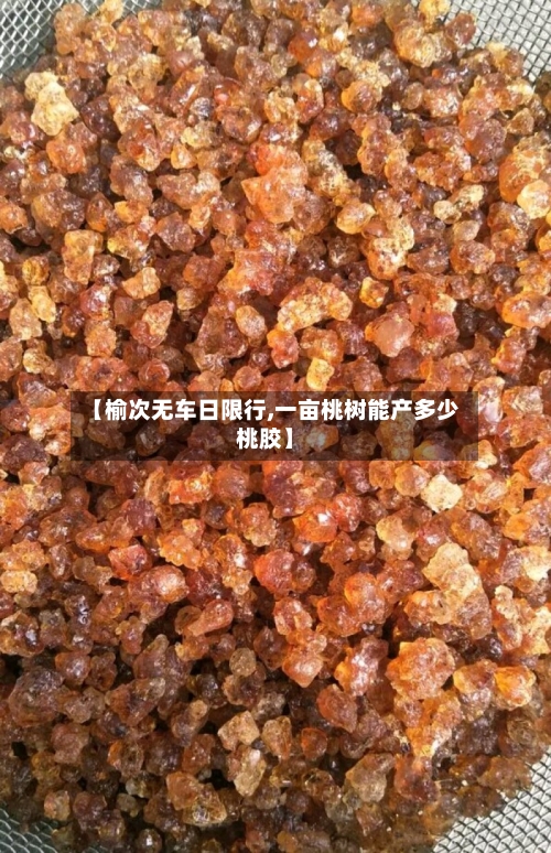 【榆次无车日限行,一亩桃树能产多少桃胶】