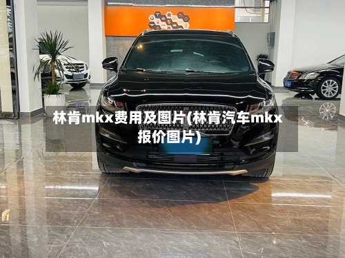 林肯mkx费用及图片(林肯汽车mkx报价图片)-第3张图片