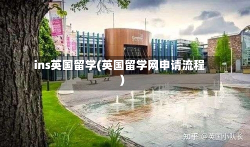 ins英国留学(英国留学网申请流程)
