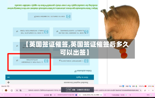 【英国签证催签,英国签证催签后多久可以出签】