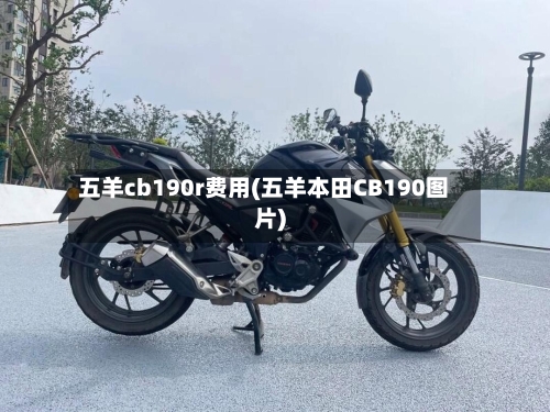 五羊cb190r费用(五羊本田CB190图片)-第3张图片