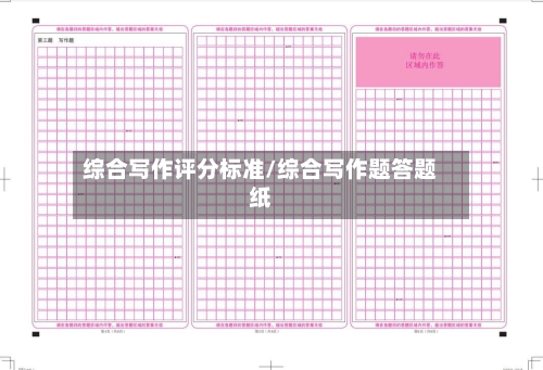 综合写作评分标准/综合写作题答题纸-第2张图片