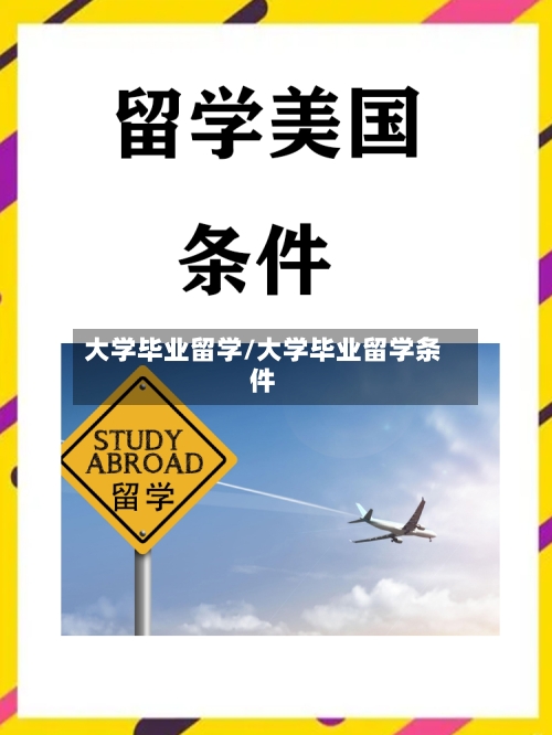 大学毕业留学/大学毕业留学条件-第2张图片