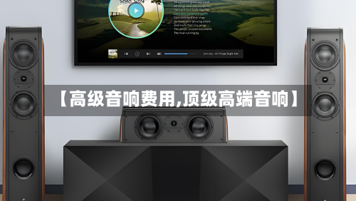 【高级音响费用,顶级高端音响】-第2张图片
