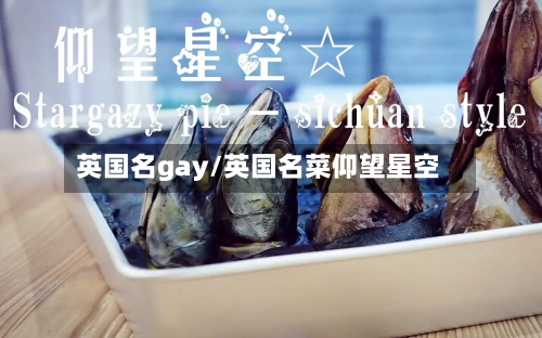 英国名gay/英国名菜仰望星空