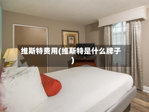 维斯特费用(维斯特是什么牌子)