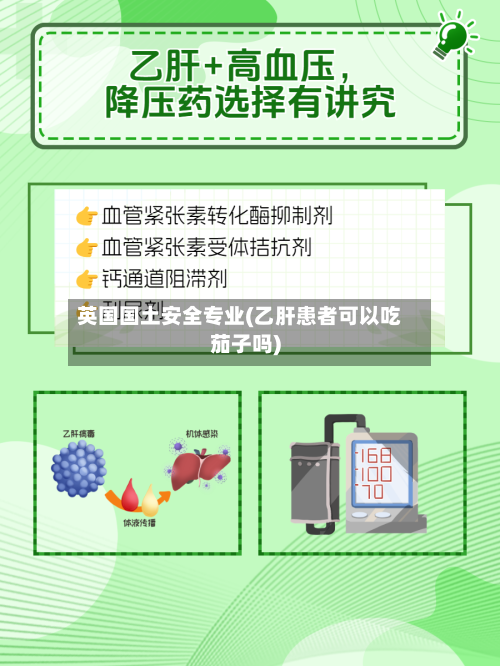 英国国土安全专业(乙肝患者可以吃茄子吗)-第3张图片