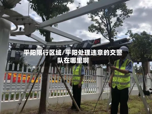 平阳限行区域/平阳处理违章的交警队在哪里啊-第2张图片