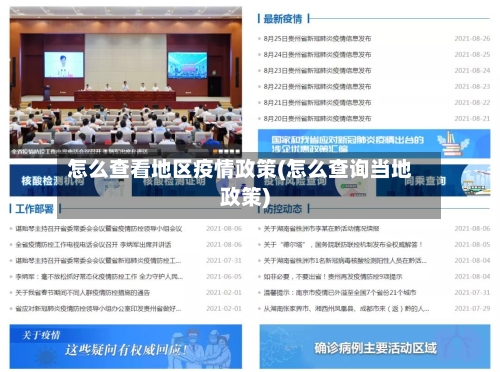 怎么查看地区疫情政策(怎么查询当地政策)-第2张图片