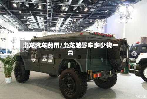枭龙汽车费用/枭龙越野车多少钱一台-第2张图片