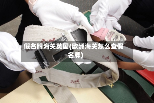 假名牌海关英国(欧洲海关怎么查假名牌)