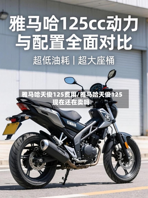 雅马哈天俊125费用/雅马哈天俊125现在还在卖吗-第2张图片