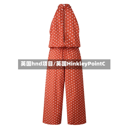英国hnd项目/英国HinkleyPointC-第3张图片