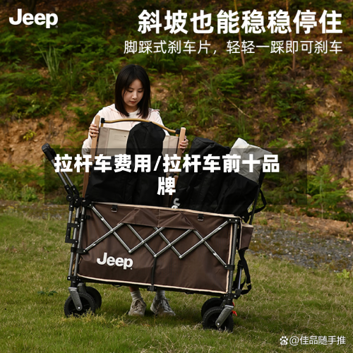 拉杆车费用/拉杆车前十品牌-第2张图片