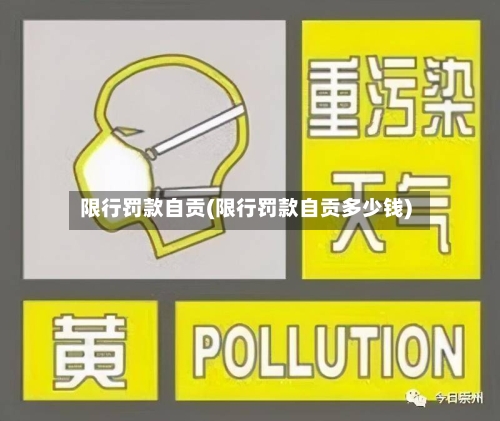 限行罚款自贡(限行罚款自贡多少钱)-第2张图片
