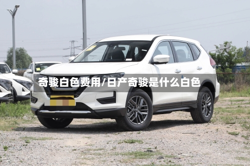 奇骏白色费用/日产奇骏是什么白色-第2张图片