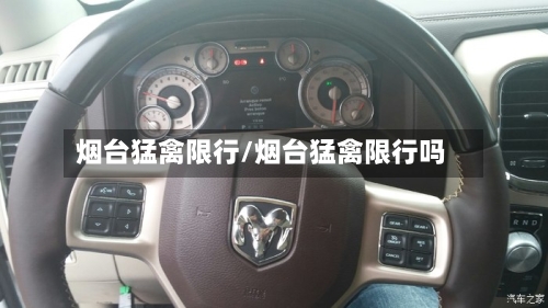 烟台猛禽限行/烟台猛禽限行吗