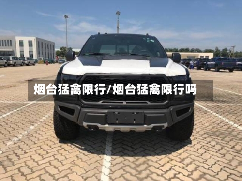 烟台猛禽限行/烟台猛禽限行吗-第2张图片