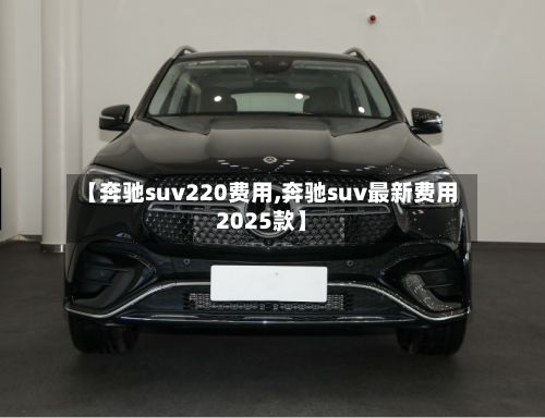 【奔驰suv220费用,奔驰suv最新费用2025款】-第3张图片