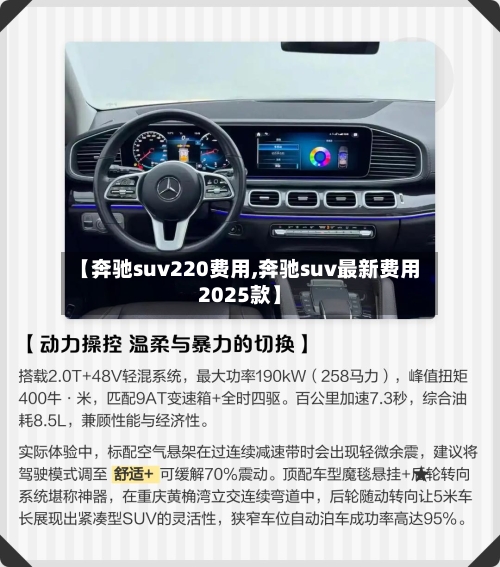 【奔驰suv220费用,奔驰suv最新费用2025款】-第2张图片