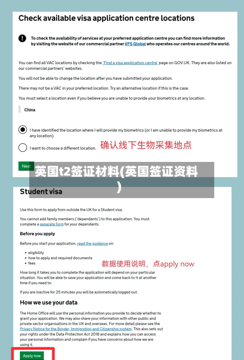 英国t2签证材料(英国签证资料)