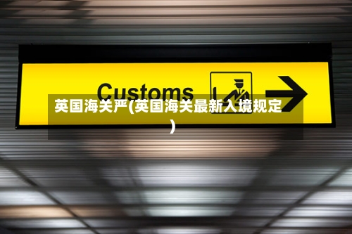 英国海关严(英国海关最新入境规定)