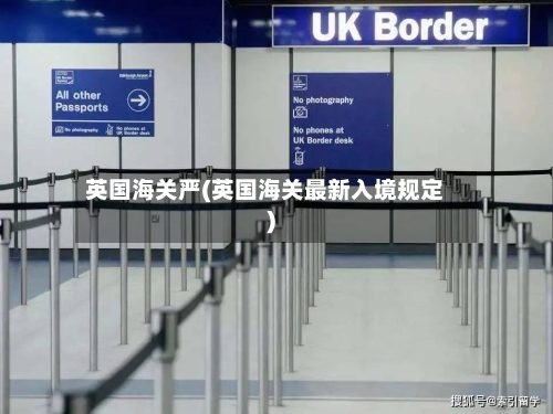 英国海关严(英国海关最新入境规定)-第2张图片