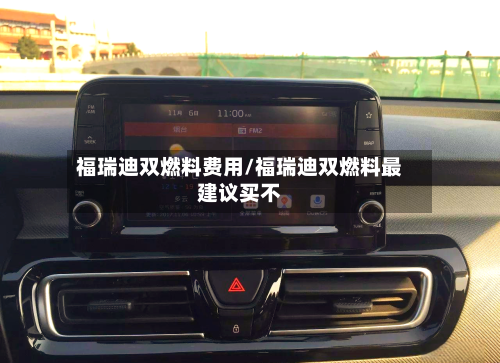 福瑞迪双燃料费用/福瑞迪双燃料最建议买不