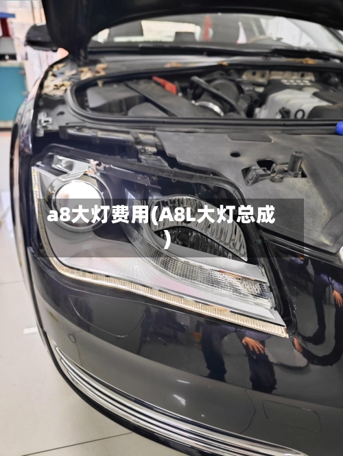 a8大灯费用(A8L大灯总成)
