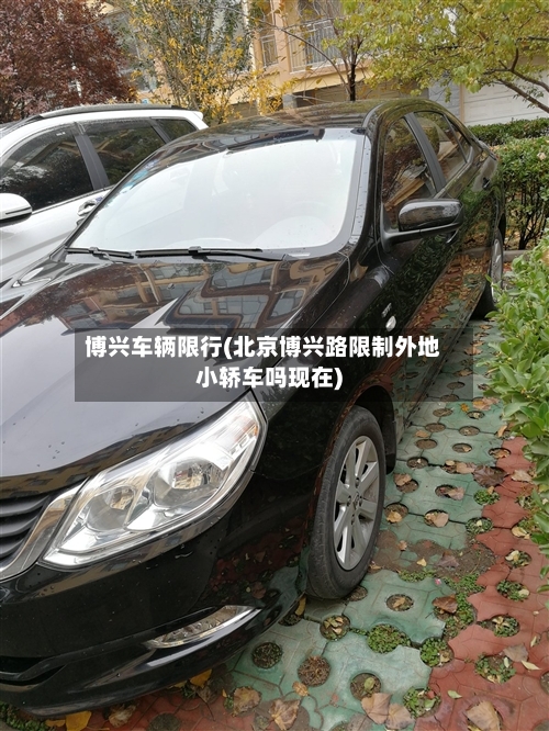 博兴车辆限行(北京博兴路限制外地小轿车吗现在)-第2张图片