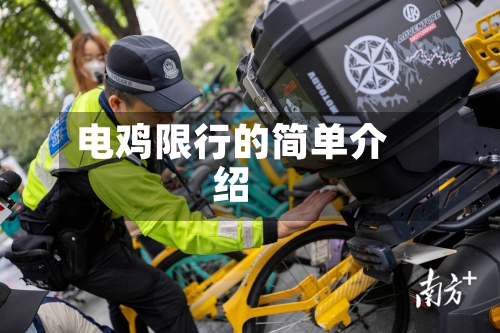 电鸡限行的简单介绍-第2张图片