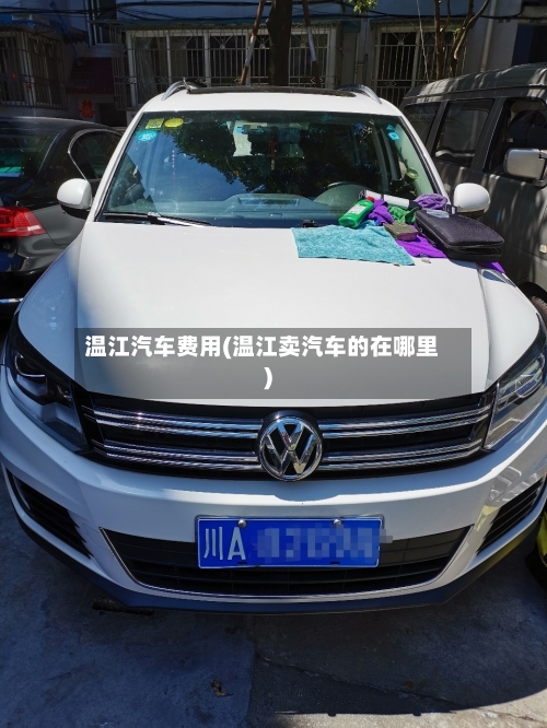 温江汽车费用(温江卖汽车的在哪里)