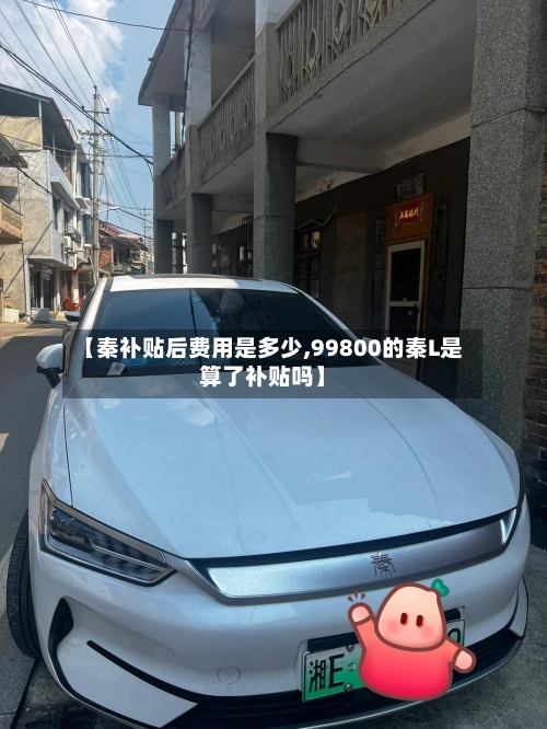 【秦补贴后费用是多少,99800的秦L是算了补贴吗】