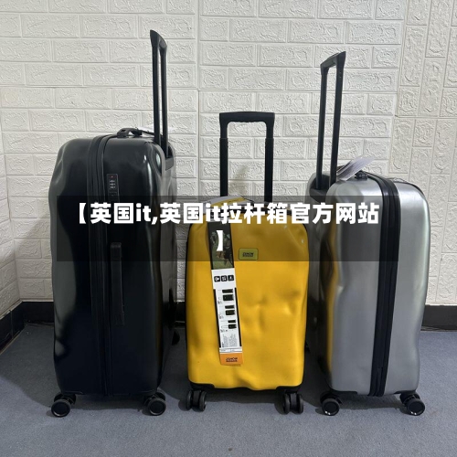 【英国it,英国it拉杆箱官方网站】-第3张图片