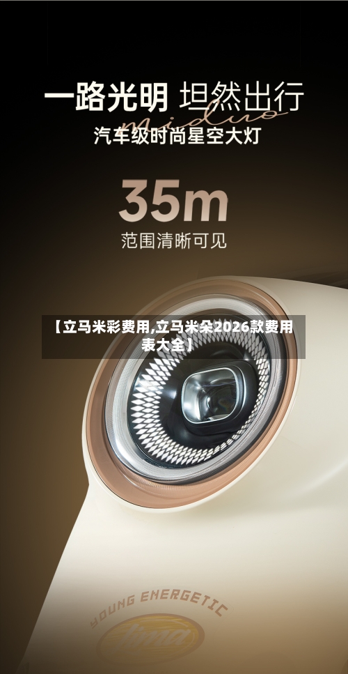 【立马米彩费用,立马米朵2026款费用表大全】-第3张图片
