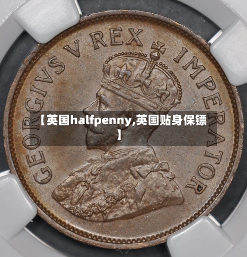 【英国halfpenny,英国贴身保镖】
