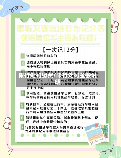 限行处罚缴费/限行处罚金额说明