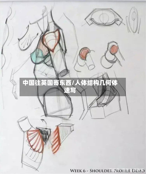 中国往英国寄东西/人体结构几何体速写