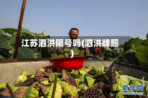 江苏泗洪限号吗(泗洪牌照)-第2张图片