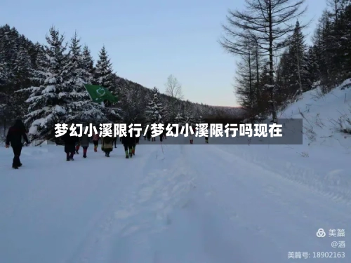 梦幻小溪限行/梦幻小溪限行吗现在