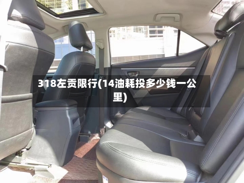 318左贡限行(14油耗投多少钱一公里)