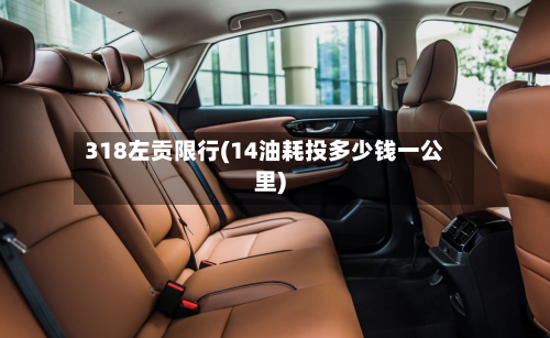 318左贡限行(14油耗投多少钱一公里)-第3张图片