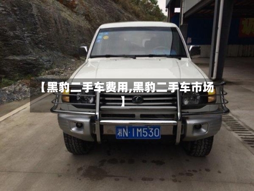 【黑豹二手车费用,黑豹二手车市场】-第3张图片