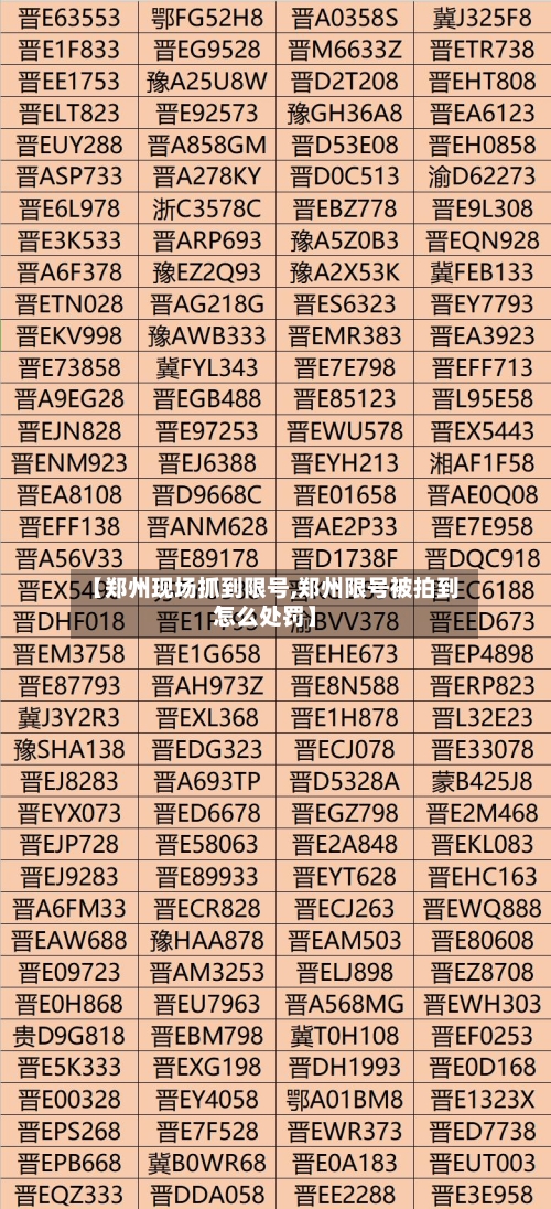 【郑州现场抓到限号,郑州限号被拍到怎么处罚】-第2张图片